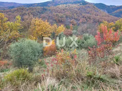 Poljoprivredno zemljište, Buzet - kaskadno i jugozapadne orijentacije - 4