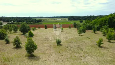 Poreč, Umgebung, hervorragendes Baugrundstück mit Projekt - 3