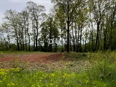 Building plot, Barban - building permit and utilities - 4