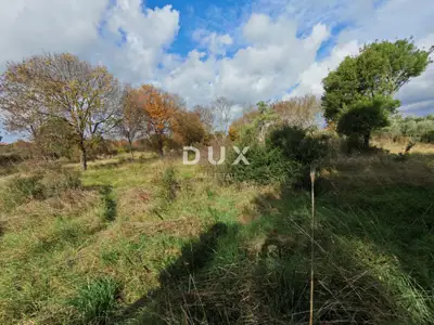 Agricultural land, Šikići - electricity and water - 3