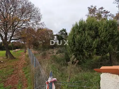 Agricultural land, Šikići - electricity and water - 12