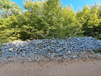 Poljoprivredno zemljište 11.024 m², Rovinj, 3,5 km od centra - 5