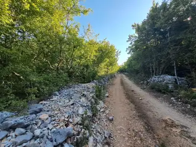 Poljoprivredno zemljište 11.024 m², Rovinj, 3,5 km od centra - 7