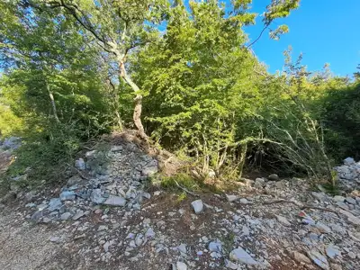 Poljoprivredno zemljište 11.024 m², Rovinj, 3,5 km od centra - 2