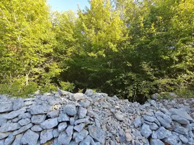 Poljoprivredno zemljište 11.024 m², Rovinj, 3,5 km od centra - 4