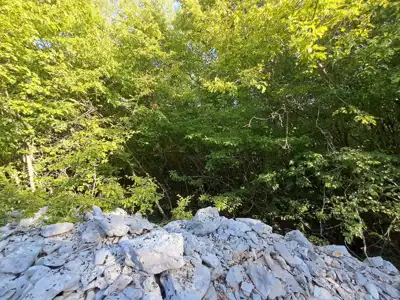Poljoprivredno zemljište 11.024 m², Rovinj, 3,5 km od centra - 6