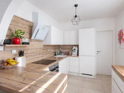 Štinjan – kuća s tri stana i okućnicom - 4