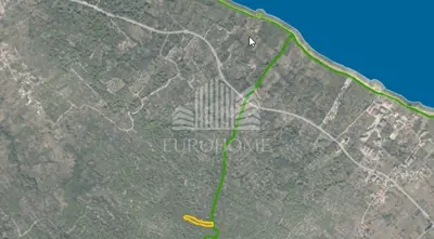 Agricultural land, Banj, island of Pašman - old olive grove