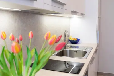 Centar, 2S+DB, 60 m², novoadaptiran moderan stan - 21
