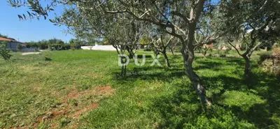 Building plot, Loborika - electricity and water on the plot - 2