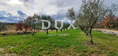 Građevinsko zemljište, Buje - otvoreni pogled i privatnost - 21