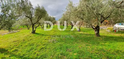 Građevinsko zemljište, Buje - otvoreni pogled i privatnost - 22
