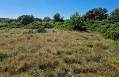 Vir, Torovi, građevinsko zemljište ukupne površine 1337 m² - 3