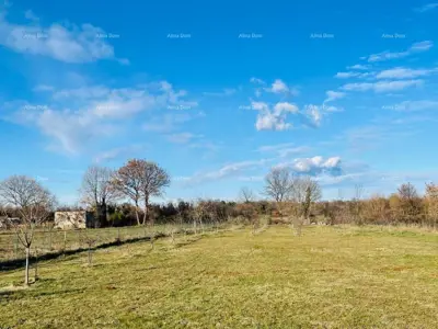 Marčana! Loborika - Haus mit Olivenhain. - 16