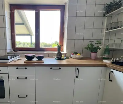 Marčana! Loborika - Haus mit Olivenhain. - 7