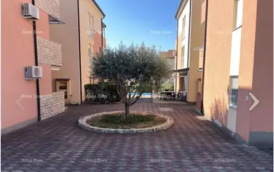 NEU IM ANGEBOT Wohnung in NOVIGRAD