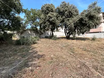Baugrundstück 760 m², Ližnjan - ruhige Lage - 6