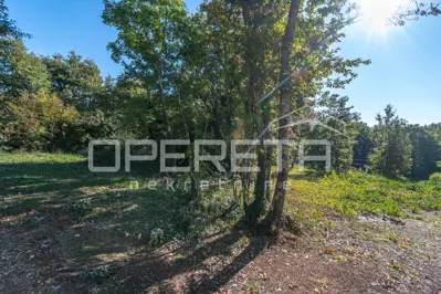 Građevinsko zemljište 1.105 m², Stari Pazin, mir i privatnost - 5