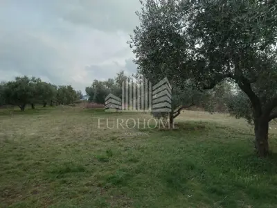 Building plot 1,660 m², Mrljane on Pašman, 150 m from the sea - 4