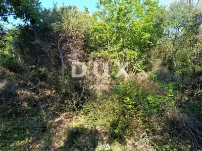 Zemljište, Peroj - 200 m od plaže, pravilnog oblika - 6