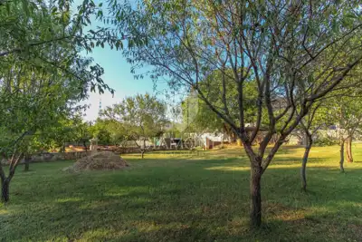 Building plot 1,345 m², Svetvinčenat - by the road - 3