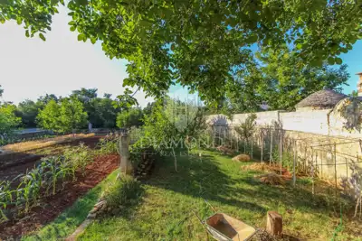 Building plot 1,345 m², Svetvinčenat - by the road - 4