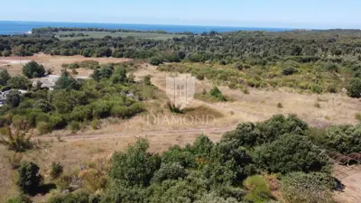 Apartment, Barbariga, 3 bedrooms and 2 bathrooms - 4