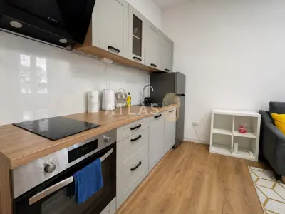 Potok - charmante Garconniere - Nähe zum Zentrum und zu den Fakultäten - 5
