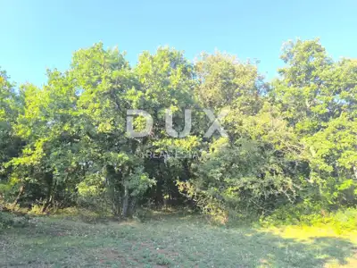 Poljoprivredno zemljište, Butkovići - ravno i pristupačno - 5