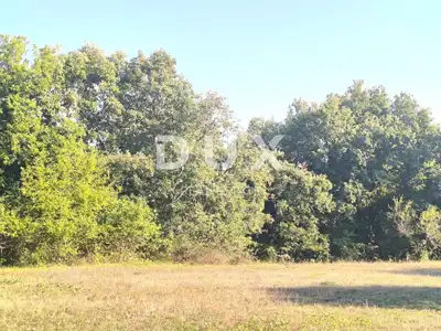 Poljoprivredno zemljište, Butkovići - ravno i pristupačno - 2