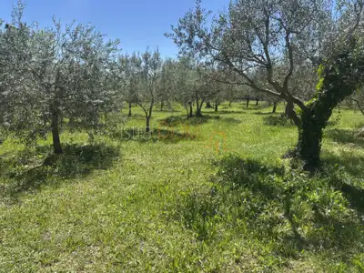 Građevinsko zemljište 463 m², Šegotići - blizu mora