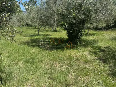Građevinsko zemljište 463 m², Šegotići - blizu mora - 2