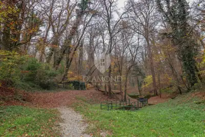 House, Zelengaj, Britanac - peace and forest - 21