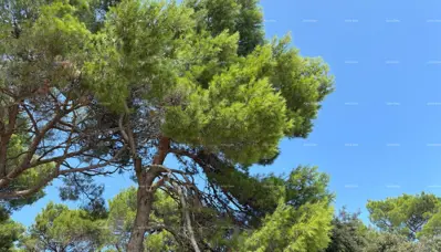 Wohnung 150 m², Rovinj, 200 m vom Meer und Terrasse 40 m² - 9