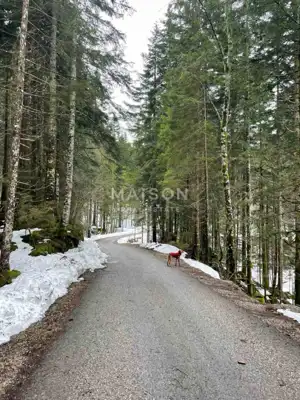 Building plot 1,500 m², Ravna Gora - quiet location - 9