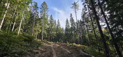 Building plot 1,500 m², Ravna Gora - quiet location - 2