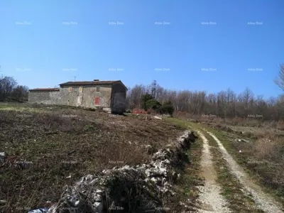 Istrian estate, Čambarelići, 43 000 m² and view of Učka - 2