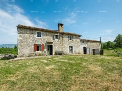 Istrian estate, Čambarelići, 43 000 m² and view of Učka - 7