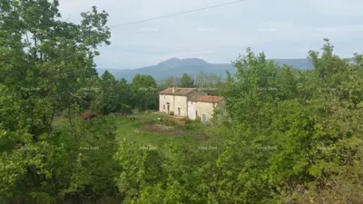 Istrian estate, Čambarelići, 43 000 m² and view of Učka - 6