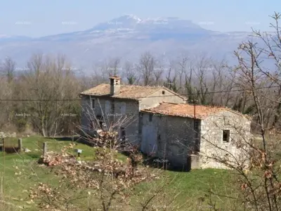 Istrian estate, Čambarelići, 43 000 m² and view of Učka - 5