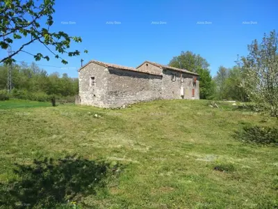 Istrian estate, Čambarelići, 43 000 m² and view of Učka - 3