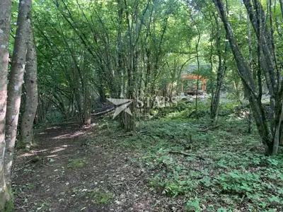 Gorski kotar, Vrbovsko - poljoprivredni teren sa roštiljem i sjenicom - 5