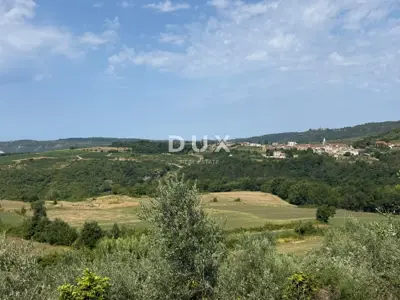 Baugrundstück, Grožnjan - Panoramablick und Olivenbäume