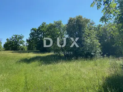 Baugrundstück 4.210 m², Čavle - vollständig eben - 5