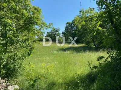 Baugrundstück 4.210 m², Čavle - vollständig eben - 3