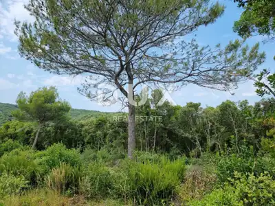 Baugrundstück, Marčana - Meerblick und 700 m vom Strand - 11