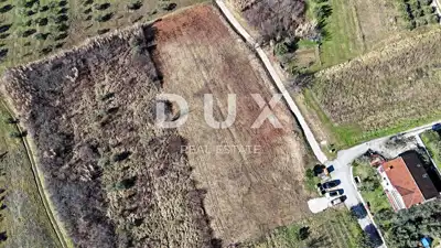 Land plot for sale in Buje - 10