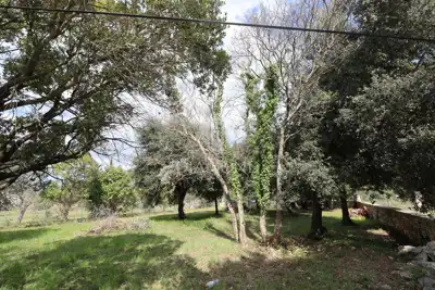 Haus zum Kauf in Rovinj, 175 m² - 17