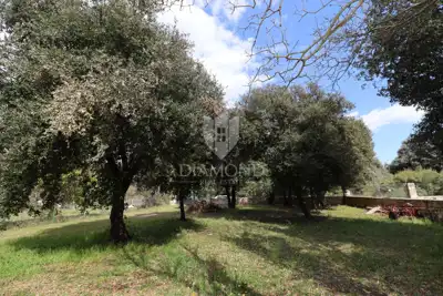 Haus zum Kauf in Rovinj, 175 m² - 16