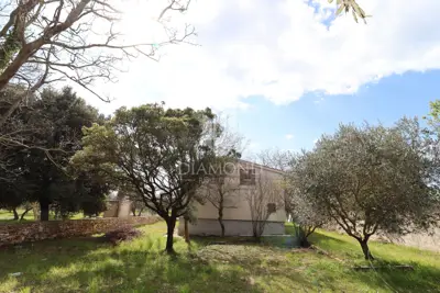 Haus zum Kauf in Rovinj, 175 m² - 4